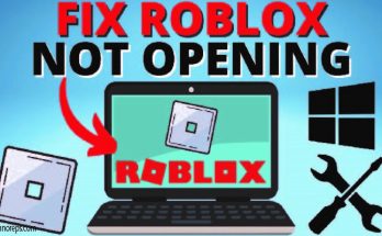 roblox error starting experience