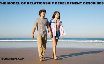 the model of relationship development describes