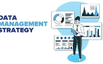 Database Management Strategies