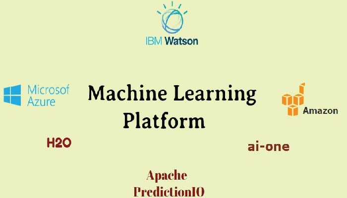 Describe Machine Learning Platforms in detail