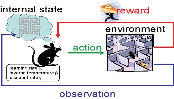 Mastering Reinforcement Learning