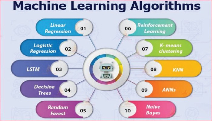 The Evolution of Machine Learning Algorithms