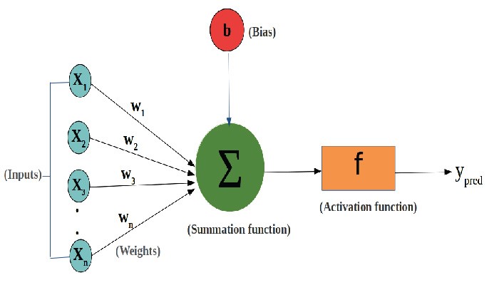 Unmasking Biases in Machine Learning