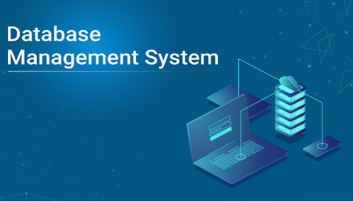 World of Database Management Systems