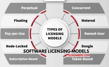 Software Licensing Models