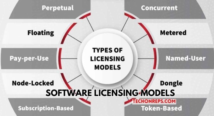 Software Licensing Models